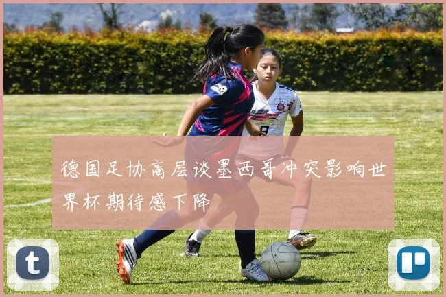 德国足协高层谈墨西哥冲突影响世界杯期待感下降