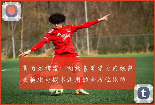 贾马尔穆雷：向约基奇学习内线包夹解读与战术运用的全方位技巧